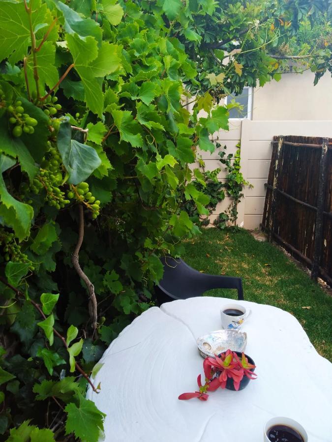 The Pool Cottage Fish Hoek Dış mekan fotoğraf